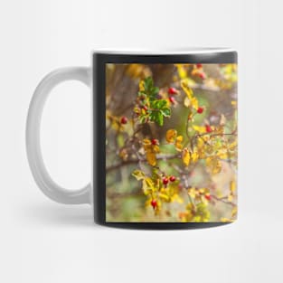 Burst in Colors Mug